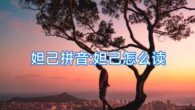 妲己拼音:妲己怎么读