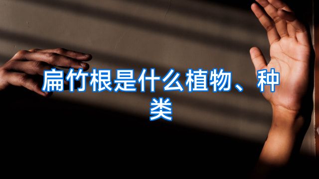 扁竹根是什么植物、种类