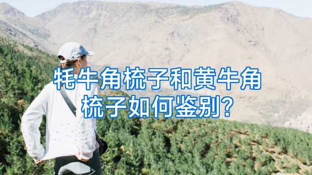 牦牛角梳子和黄牛角梳子如何鉴别?