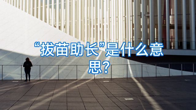 “拔苗助长”是什么意思?