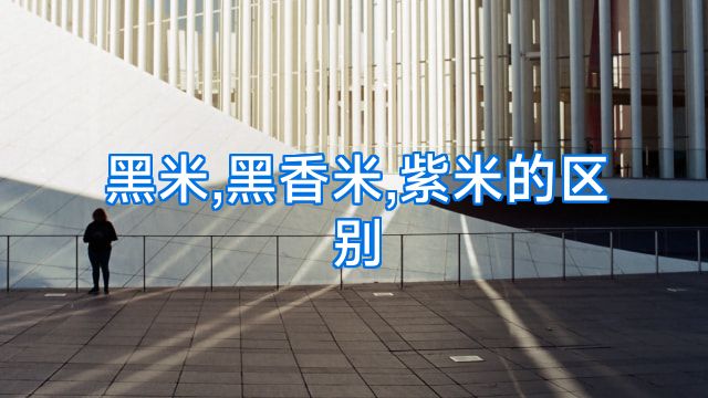 黑米,黑香米,紫米的区别