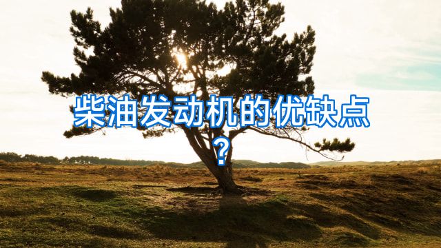 柴油发动机的优缺点?