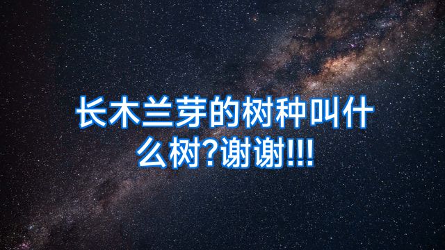 长木兰芽的树种叫什么树?谢谢!!!