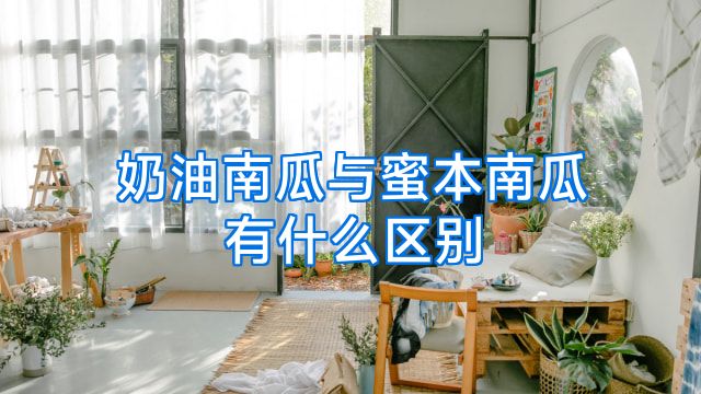 奶油南瓜与蜜本南瓜有什么区别