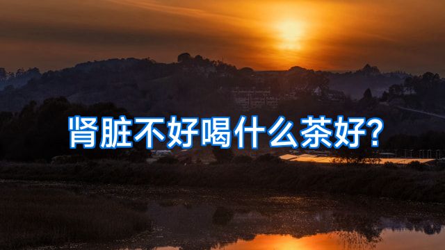 肾脏不好喝什么茶好?