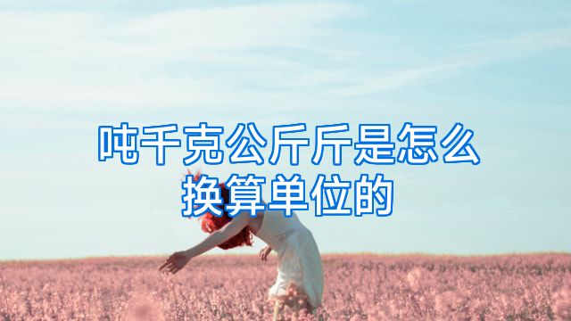 吨千克公斤斤是怎么换算单位的