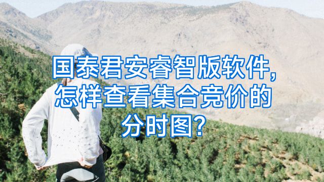 国泰君安睿智版软件,怎样查看集合竞价的分时图?