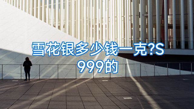 雪花银多少钱一克?S999的
