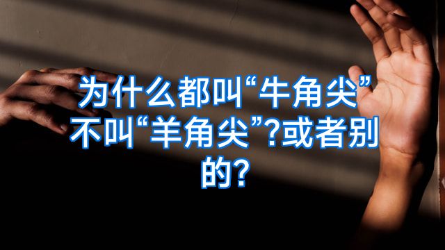 为什么都叫“牛角尖”不叫“羊角尖”?或者别的?