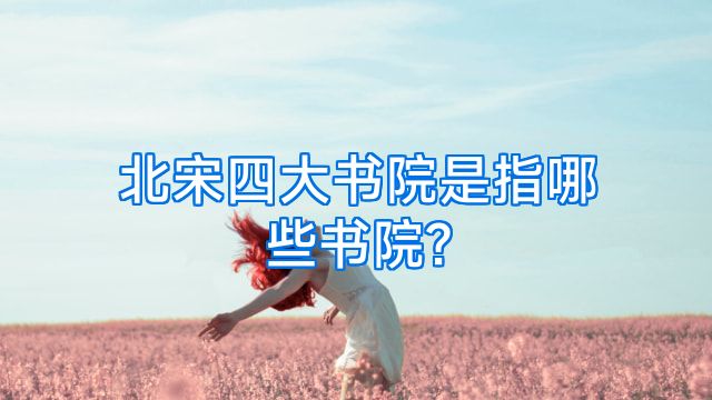 北宋四大书院是指哪些书院?