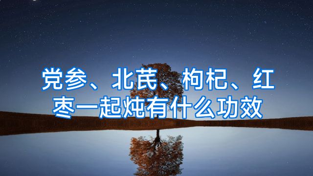 党参、北芪、枸杞、红枣一起炖有什么功效