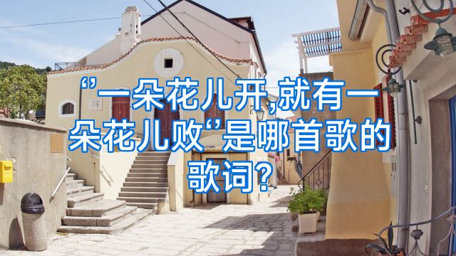 ‘’一朵花儿开,就有一朵花儿败‘’是哪首歌的歌词?