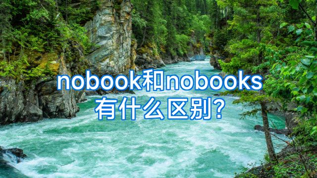 nobook和nobooks有什么区别?