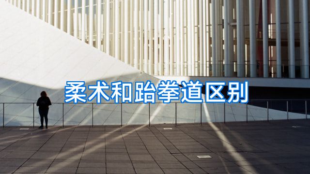 柔术和跆拳道区别