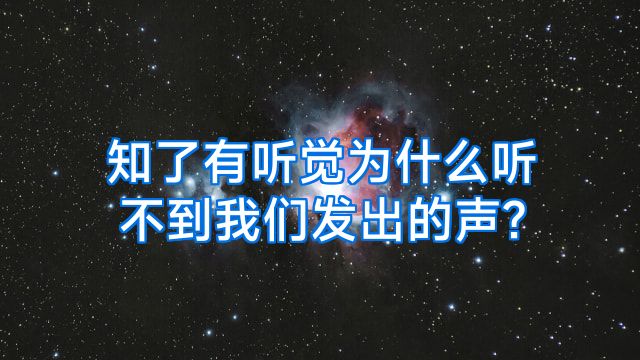 知了有听觉为什么听不到我们发出的声?