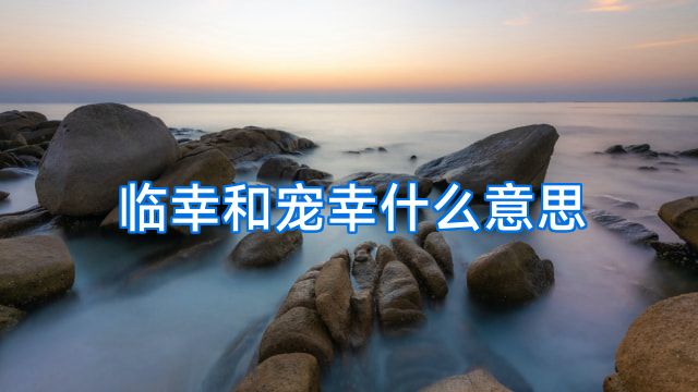 临幸和宠幸什么意思