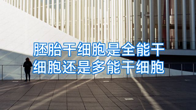 胚胎干细胞是全能干细胞还是多能干细胞