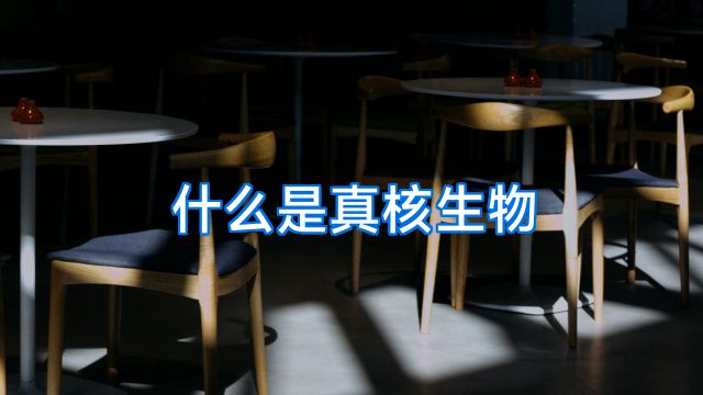 什么是真核生物