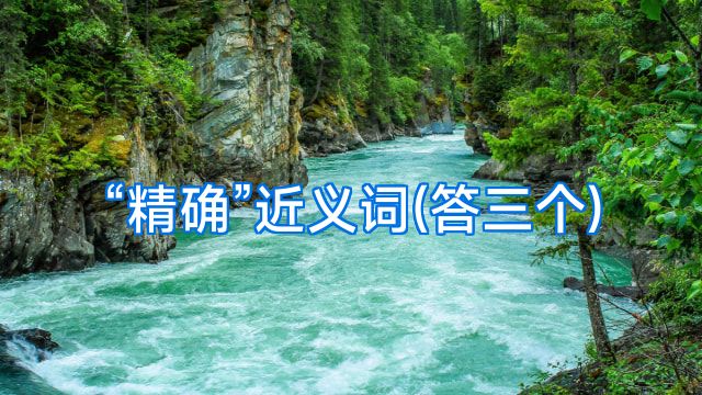“精确”近义词(答三个)
