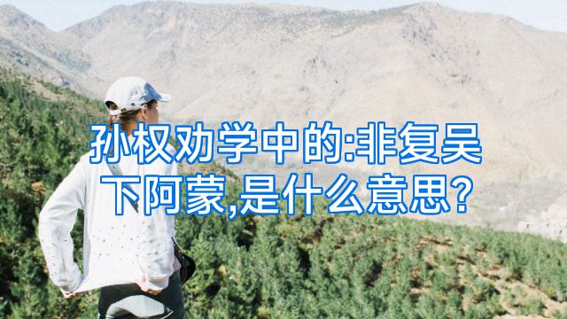 孙权劝学中的:非复吴下阿蒙,是什么意思?
