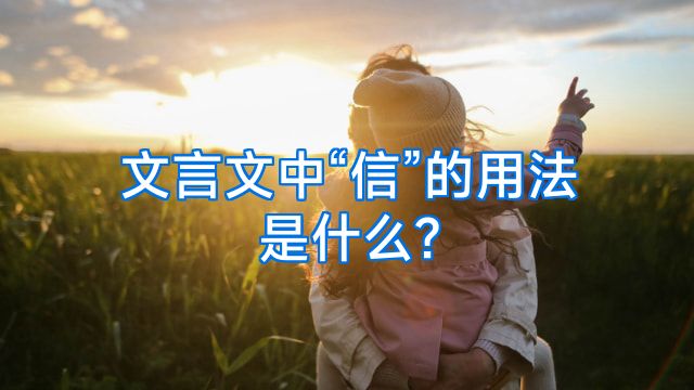 文言文中“信”的用法是什么?