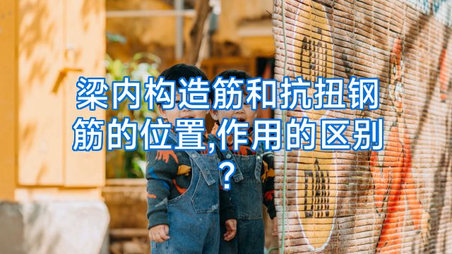 梁内构造筋和抗扭钢筋的位置,作用的区别?