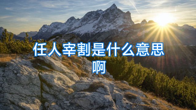 任人宰割是什么意思啊