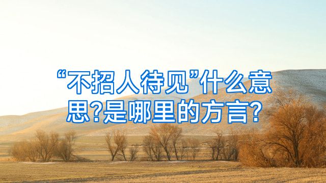 “不招人待见”什么意思?是哪里的方言?