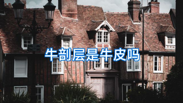 牛剖层是牛皮吗