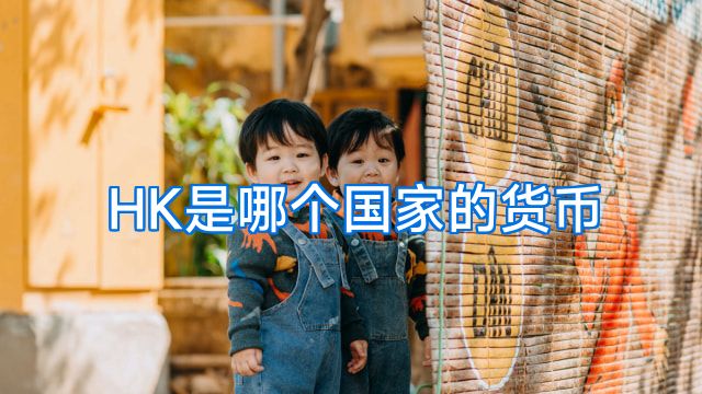 HK是哪个国家的货币