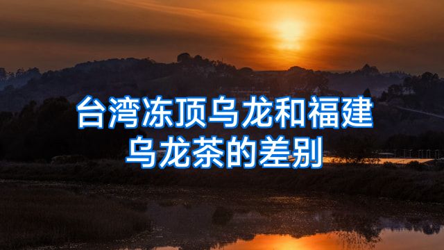 台湾冻顶乌龙和福建乌龙茶的差别