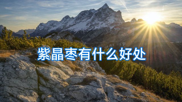 紫晶枣有什么好处