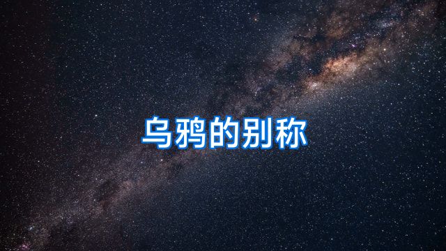 乌鸦的别称