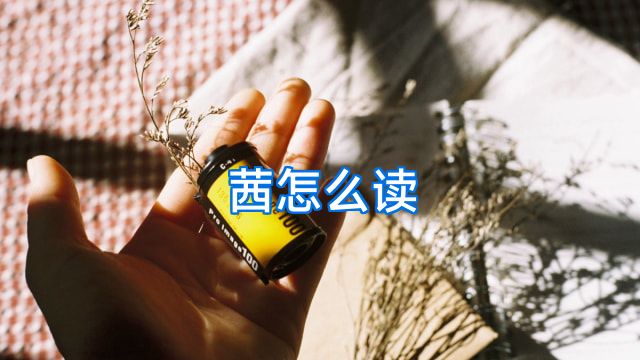 茜怎么读