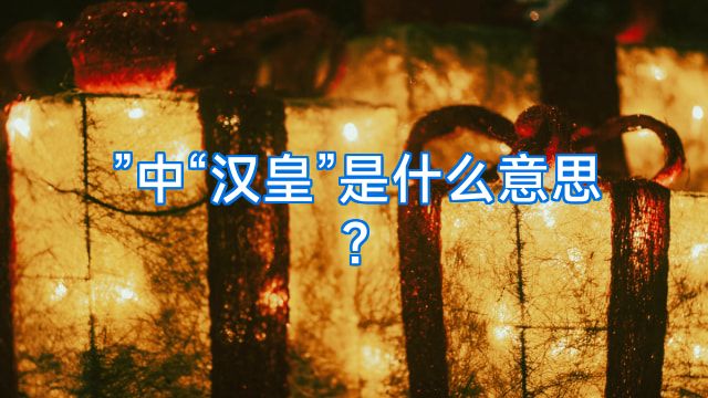 ”中“汉皇”是什么意思?