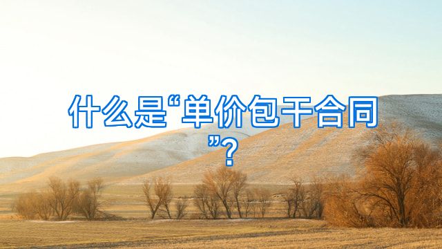 什么是“单价包干合同”?