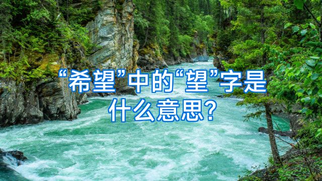 “希望”中的“望”字是什么意思?