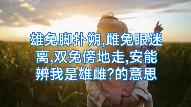 雄兔脚扑朔,雌兔眼迷离,双兔傍地走,安能辨我是雄雌?的意思