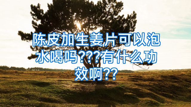 陈皮加生姜片可以泡水喝吗???有什么功效啊??