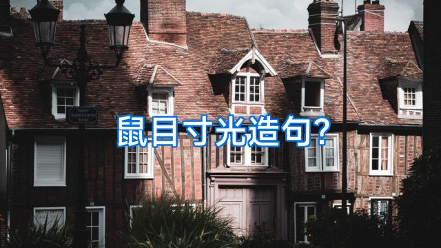 鼠目寸光造句?