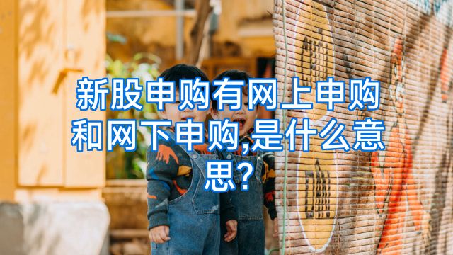 新股申购有网上申购和网下申购,是什么意思?