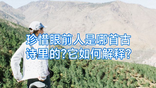 珍惜眼前人是哪首古诗里的?它如何解释?