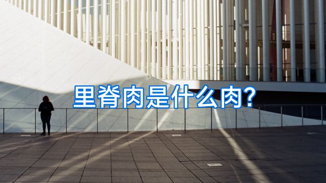 里脊肉是什么肉?