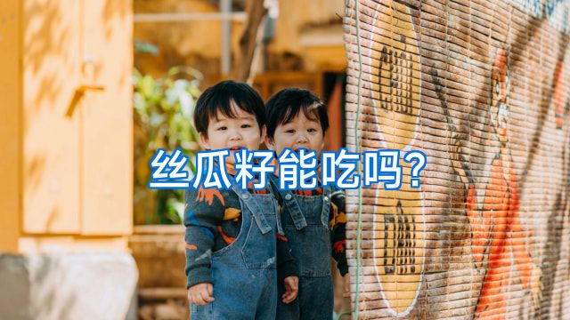 丝瓜籽能吃吗?