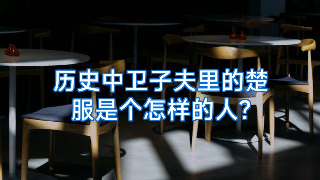 历史中卫子夫里的楚服是个怎样的人?