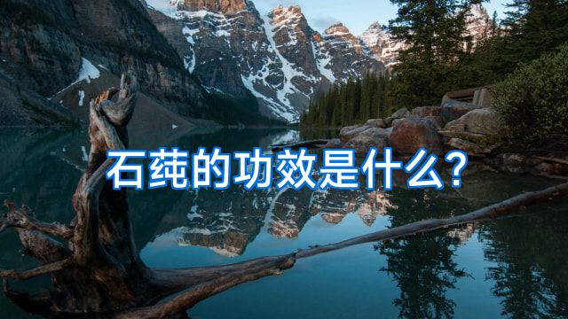 石莼的功效是什么?