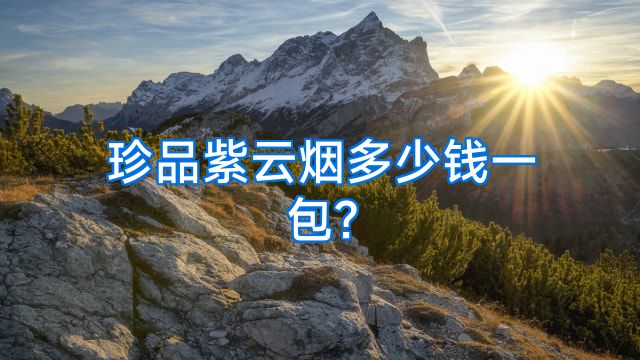 珍品紫云烟多少钱一包?