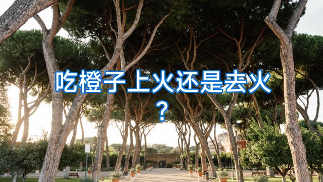吃橙子上火还是去火?