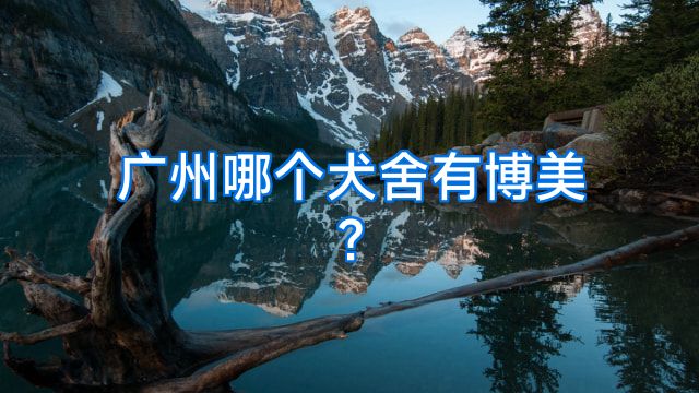 广州哪个犬舍有博美?