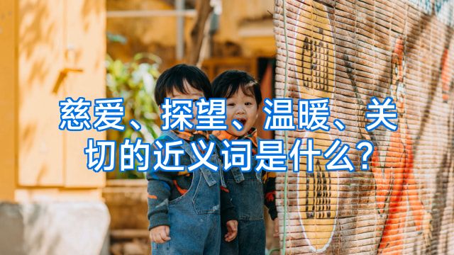 慈爱、探望、温暖、关切的近义词是什么?